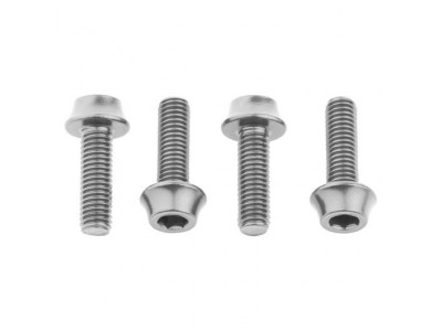 Wolf Tooth bottle cage screws, 4 pcs, silver