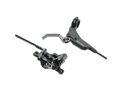 Hayes Dominium A4