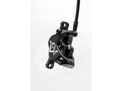 Hayes Dominium A4