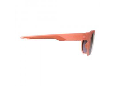 POC Avail Lt Glasses, Agate Red BS