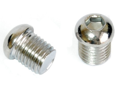 Jagwire HFA026 pivot screw M10 steel