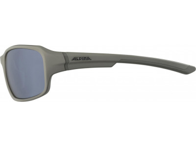 ALPINA LYRON moon-gray glasses