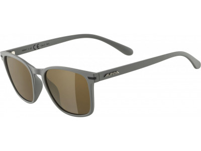 ALPINA Yefe moon-gray glasses