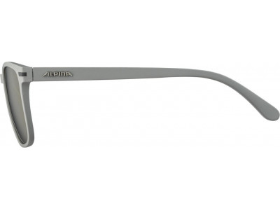 ALPINA Yefe moon-gray glasses