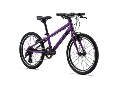 Giant ARX 20 detský bicykel, fialová