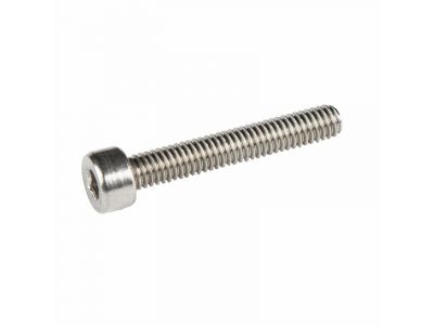 Wolf Tooth derailleur screw 25 mm B-screw