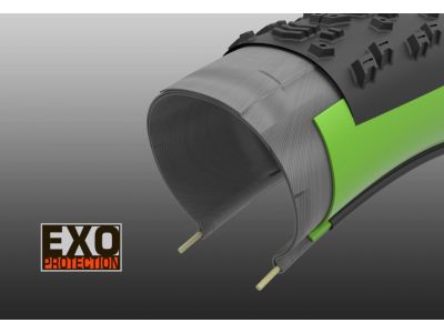 Maxxis Receptor 27.5x1.75" EXO DC tire, TR, kevlar