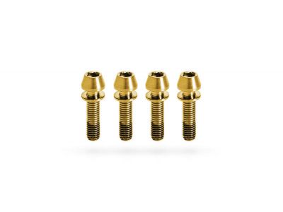 Kogel titanium screws for stem M5x20, gold