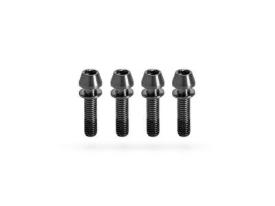 Kogel titanium screws for stem M5x20, black
