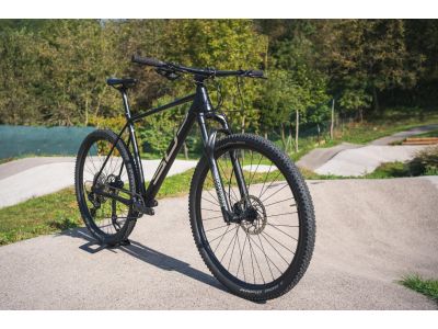 Bicicletă Superior XP 909 29, matte black/chrome silver