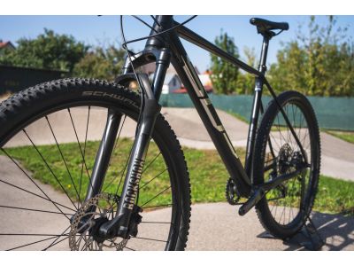 Superior XP 909 29 bicykel, matte black/chrome silver