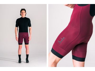 Isadore Cycling Bib Shorts pantaloni bărbați fig