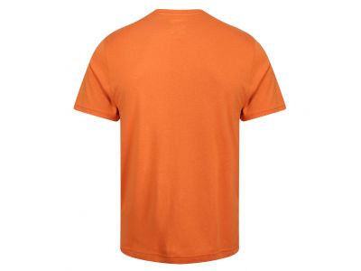 inov-8 GRAPHIC TEE&quot; BRAND&quot; shirt, orange