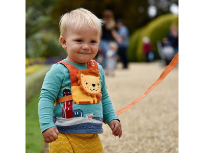 LittleLife Toddler Reins detský bezpečnostný postroj s vodítkom, lion
