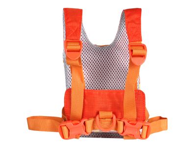 LittleLife Toddler Reins detský bezpečnostný postroj s vodítkom, lion