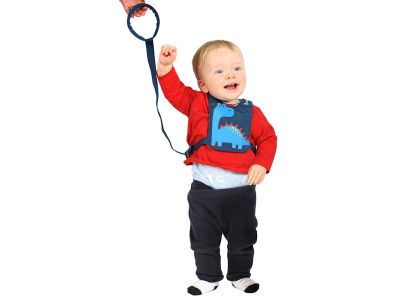 LittleLife Toddler Reins detský bezpečnostný postroj s vodítkom, lion