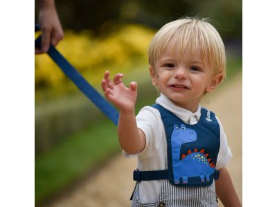 LittleLife Toddler Reins detský bezpečnostný postroj s vodítkom, lion