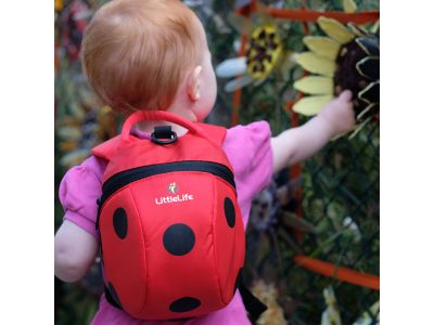 LittleLife Animal Toddler Backpack; 2l; ladybug