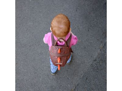 LittleLife Animal Toddler Backpack; 2l; dinosaur