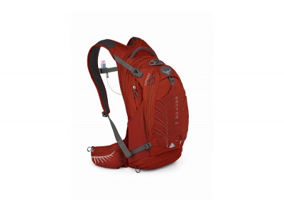 Osprey Raptor Rucksack 14 l