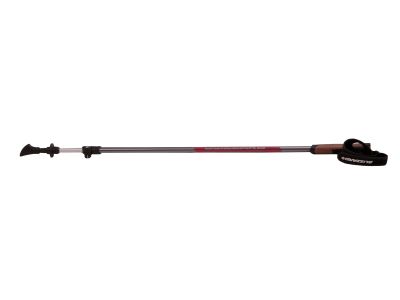 Blizzard Alu Performance Nordic-Walking-Stöcke, Anthrazit/Rosa