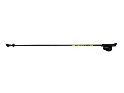 Blizzard Carbon Lite Nordic walking poles, black/green