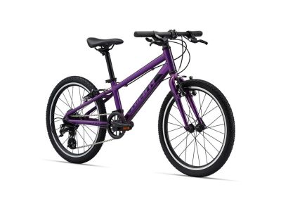 Giant ARX 20 children&amp;#39;s bike, purple
