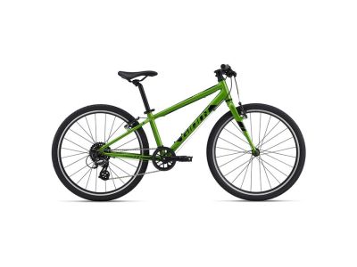 Bicicleta pentru copii Giant ARX 24, verde metalizat