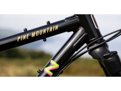 Marin Pine Mountain 2 29 kerékpár, fekete/zöld/rózsaszín