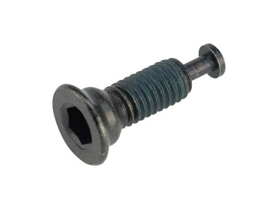 Shimano bolt for the caliper mount with front/rear. adapter F