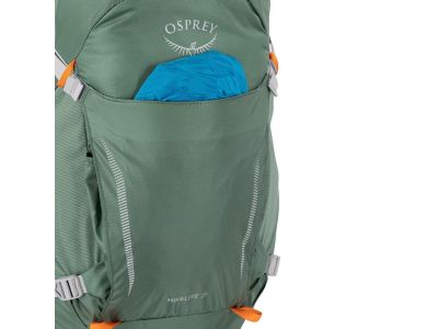 Osprey Hikelite 26 backpack, 26 l, pine leaf green