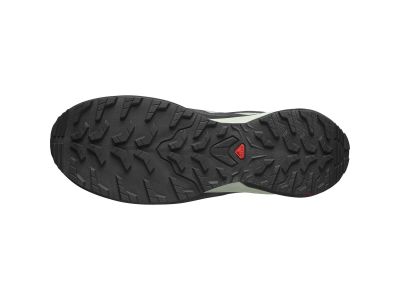 Pantofi Salomon X-ADVENTURE GTX, lily/black/desert sage