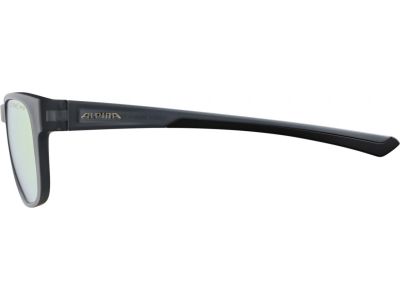 Okulary ALPINA LINO II, szare przezroczyste