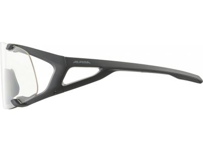 ALPINA HAWKEYE glasses, black matte