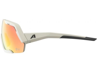 ALPINA ROCKET QV glasses, cool grey matte