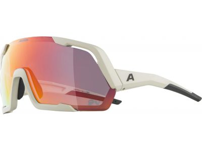 ALPINA ROCKET QV glasses, cool gray matte