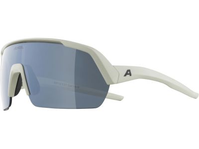 ALPINA TURBO HR glasses, cool gray matte