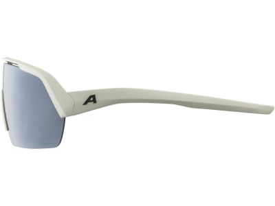 ALPINA TURBO HR glasses, cool gray matte