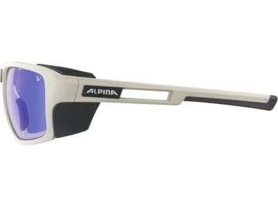 ALPINA SKYWALSH VLM+ glasses, cool-grey matte