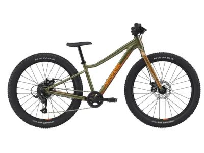 Cannondale Kids Trail Plus 24 Kinderfahrrad, Mantis