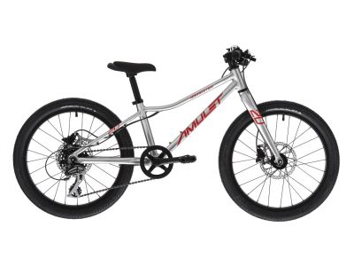 Amulet 20 Youngster children&amp;#39;s bike, alu brushed transparent/red