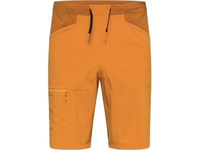 Haglöfs ROC Lite Standard pants, brown