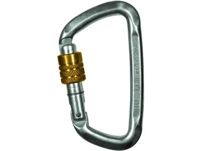 Climbing Technology D-shape Steel screw gate karabína, silver/gold
