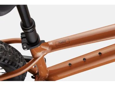 Cannondale Habit HT 1 29 bike, brown