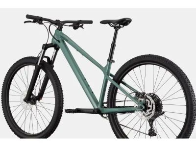 Cannondale Habit HT 3 29 bicycle, green