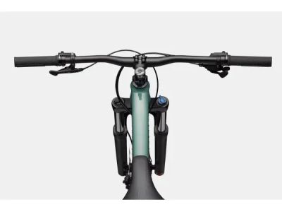 Cannondale Habit HT 3 29 bicycle, green