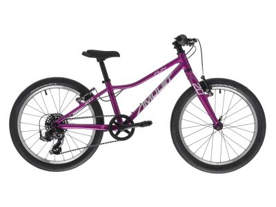 Bicicleta pentru copii Amulet 20 Fun, violet/argintiu