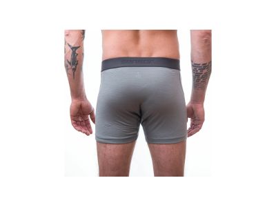 Sensor MERINO ACTIVE shorts, light gray