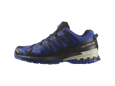 Salomon XA PRO 3D V9 GTX shoes, blue print/surf the web/lapis blue