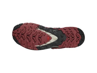 Pantofi dama Salomon XA PRO 3D V9 GTX, piele de vaca/negru/trandafir decolorat